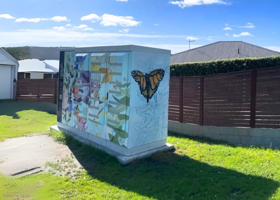 Aurora Energy Generation You - The Storer -  What is a community battery