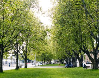 Park