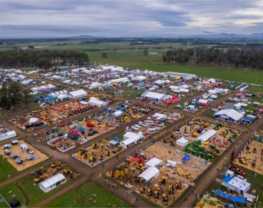 Agfest field