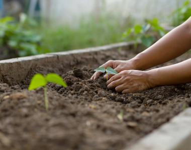 Gardening 