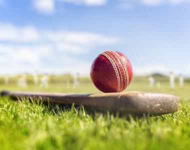 Cricket bat and ball
