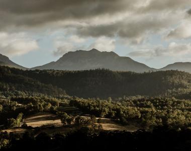 image of landscape in the Huon Valley