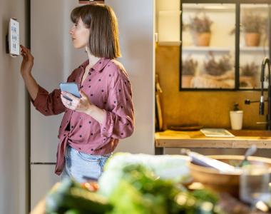Aurora Energy Generation You - The Smarter -  Are smart appliances compatible with technologies like solar panels and batteries?