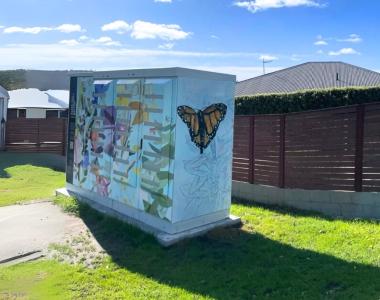 Aurora Energy Generation You - The Storer -  What is a community battery