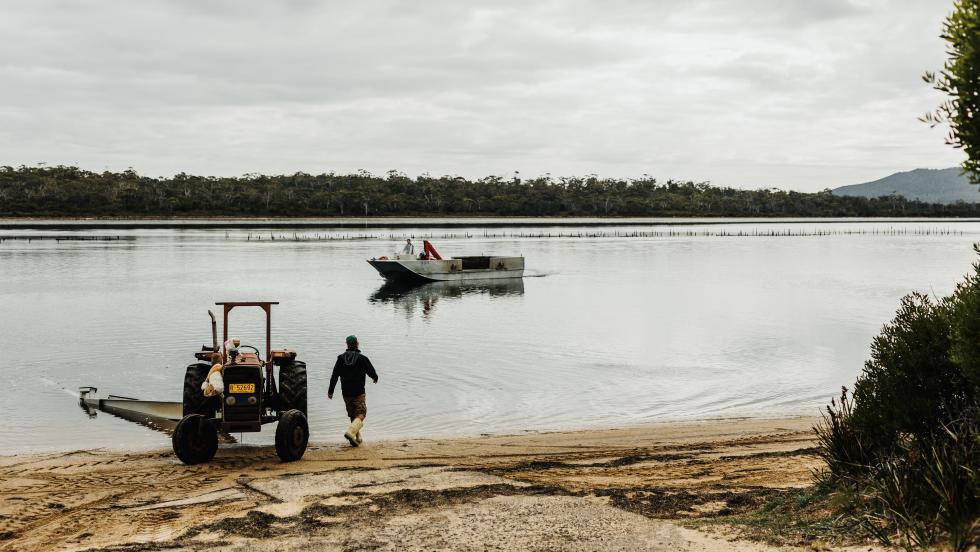 Melshell Oyster Farm